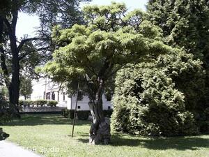 Park města Odry